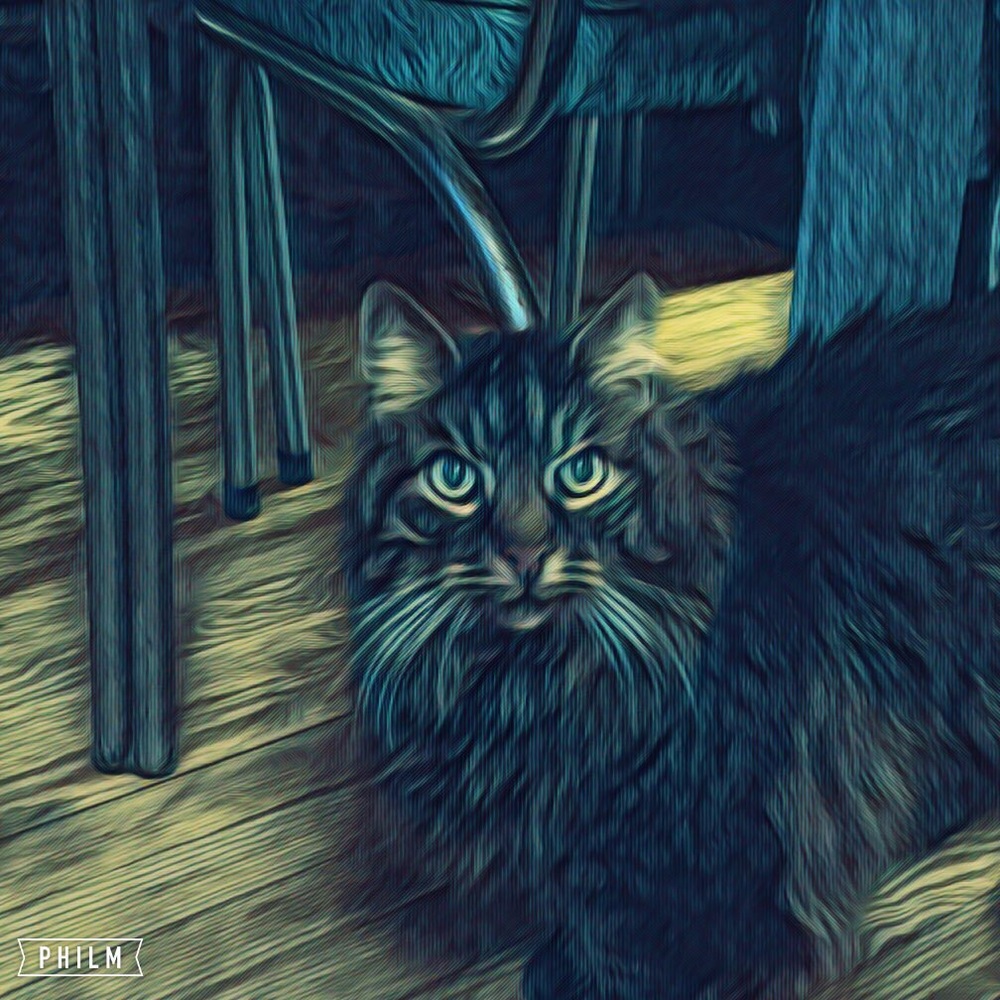 Beautiful Zadoc